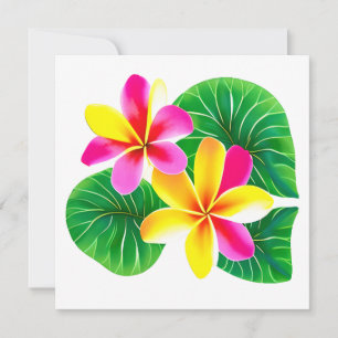 Cartão De Festividades Flores Tropicais De Plumeria