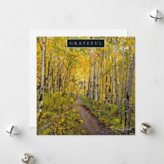 Cartão De Festividades Floresta de Árvores Aspen