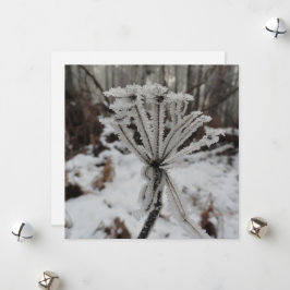 Cartão De Festividades Floresta de inverno em plantas na floresta