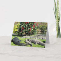 Florida Gator Christmas