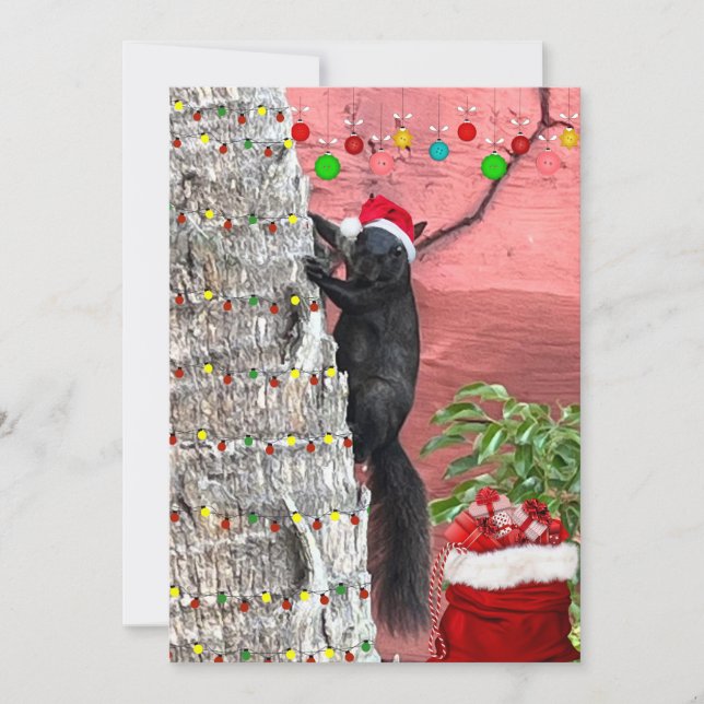 Cartão De Festividades Florida Wildlife Christmas Flat Holiday Card (Frente)