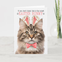 Fluffy Tabby Cat em Bunny Ears para Páscoa