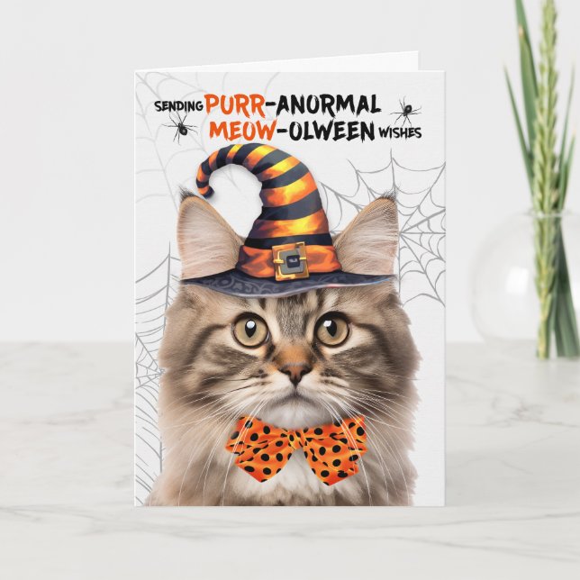 Cartão De Festividades Fluffy Tabby Halloween Cat PURRanormal MEOWolbetwe (Frente)