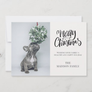 Cartão De Festividades Fofo Foto Personalizada de Cachorro com Azevinho N