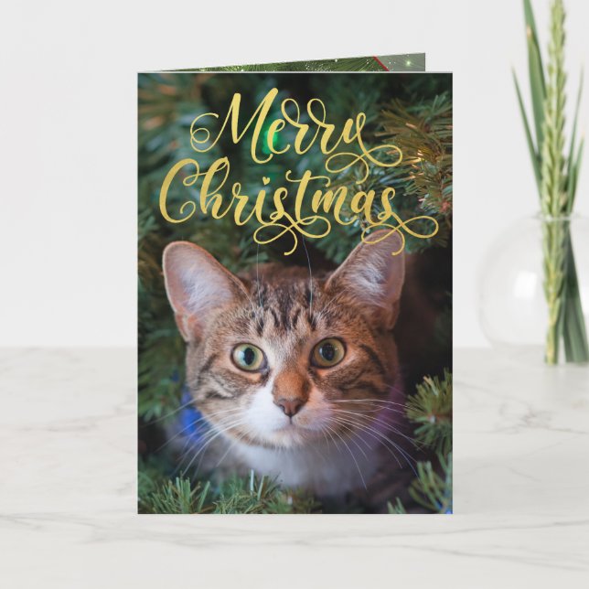 Cartão De Festividades Folha de 4 Páginas de Foto Feliz Natal (Frente)