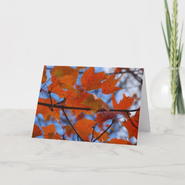 Cartão De Festividades Folhas de outono animadas (Frente)