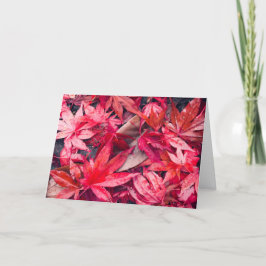 Cartão De Festividades Folhas de outono Vermelhas