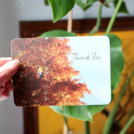 Cartão De Festividades Folhas do Autumn Maple