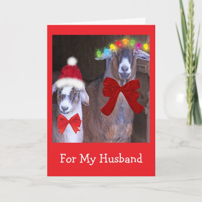 Cartão De Festividades "For My Husband" Cute Goat Christmas (Frente)