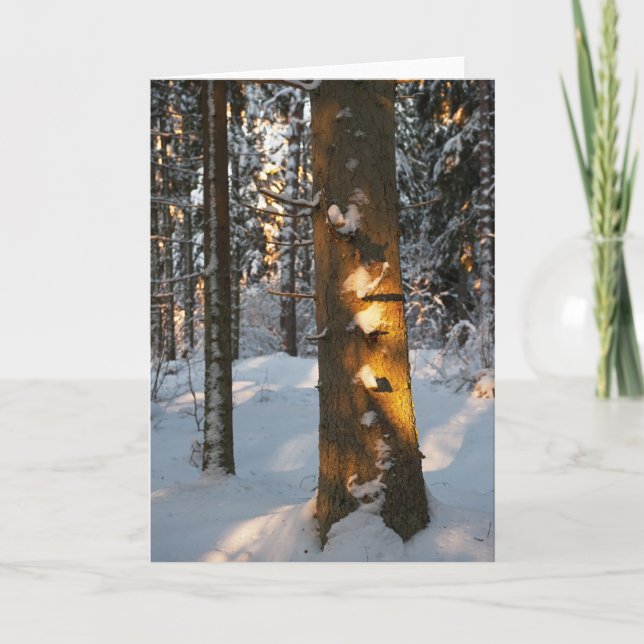 Cartão De Festividades Forest in the winter (Frente)