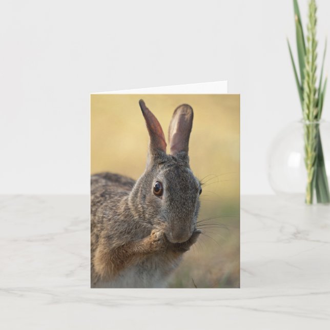 Cartão De Festividades Foto bonito do coelho de coelho oriental - animais (Frente)