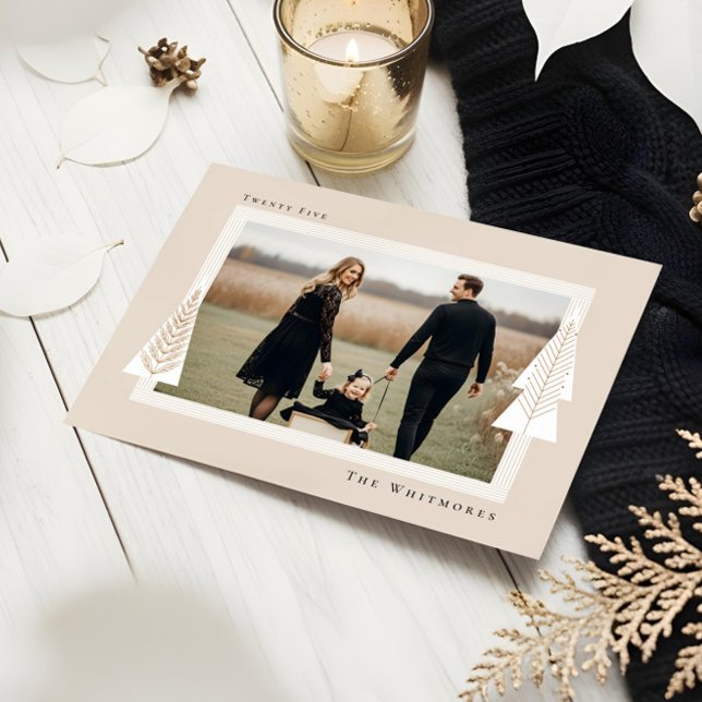 Cartão De Festividades Foto da Árvore de Natal Evergreen do Quadro de dis (Modern Stripe Frame Evergreen Christmas Tree Photo Holiday Card)