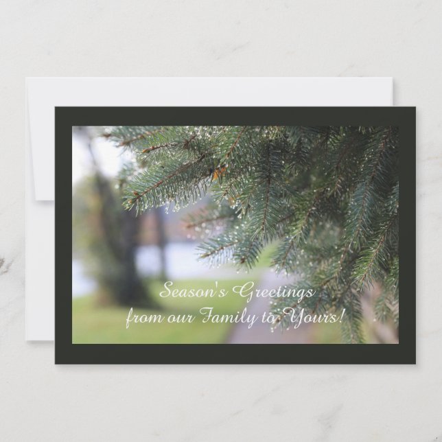 Cartão De Festividades Foto da Natureza com Paisagem Evergreen Personaliz (Frente)