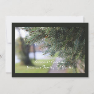 Cartão De Festividades Foto da Natureza com Paisagem Evergreen Personaliz