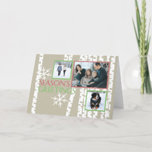 Cartão De Festividades Foto das árvores de vidoeiro do Natal