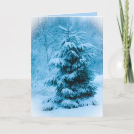 Cartão De Festividades Foto de Blue Spruce na Véspera de Natal