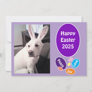 Cartão De Festividades Foto de Cachorro Bonito Vestindo Ovos de Páscoa Co