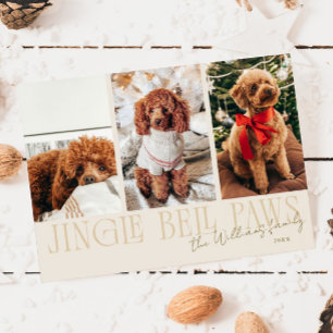 Cartão De Festividades Foto de cachorro com creme de Natal Jingle Bell Pa