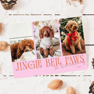 Cartão De Festividades Foto de Cachorro com Laranja Rosa de Natal Jingle