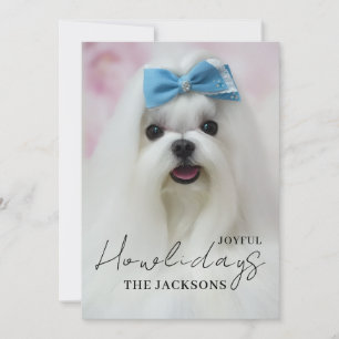Cartão De Festividades Foto de Cachorro de Natal Feliz Cumprimento de Fér