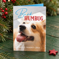 Foto de Cachorro Engraçada Latido Humbug Natal