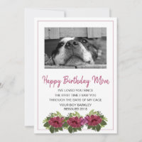 Foto De Cachorro Feliz Aniversário Mãe De Cachorro