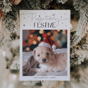 Cartão De Festividades Foto de cachorro festiva positivamente no Natal Br