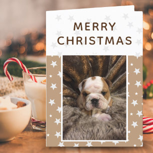 Cartão De Festividades Foto de Cachorro Fofinho de Natal Feliz
