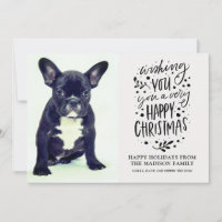 Foto de Cachorro Fofo Natal
