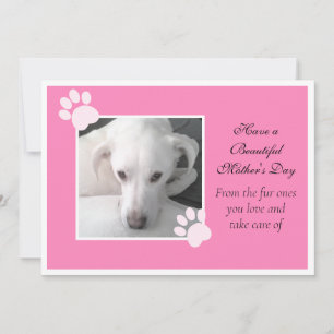 Cartão De Festividades Foto de Cachorro Fofo Quadro de Pata do Dia das Mã