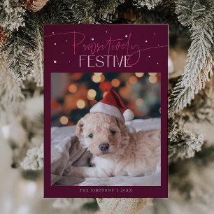 Cartão De Festividades Foto de Cachorro Natalina com Cranberry "Pawsitive