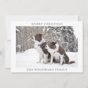 Cartão De Festividades Foto de Cachorro Neve Natal Feriado