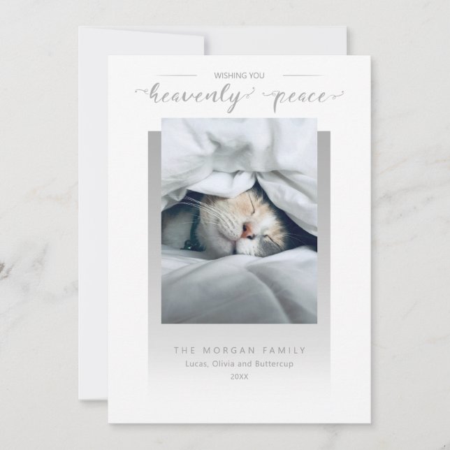 Cartão De Festividades Foto de caligrafia de paz moderna (Frente)