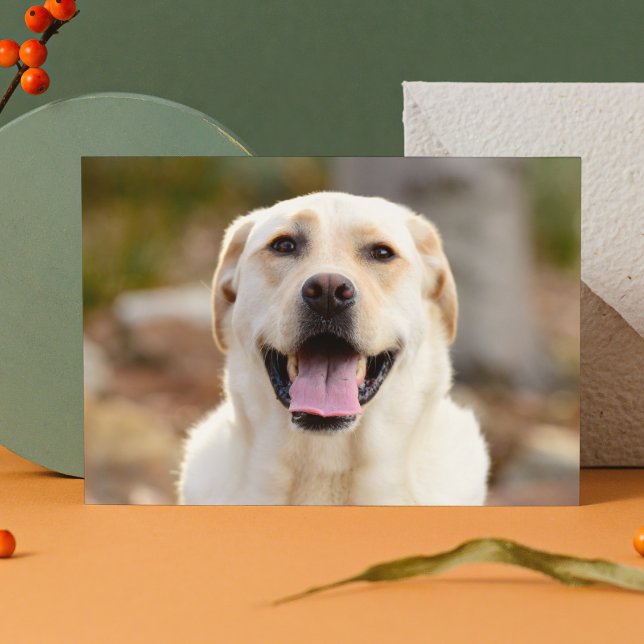 Cartão De Festividades Foto de cão (Criador carregado)