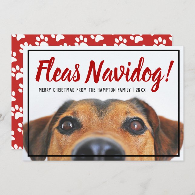 Cartão De Festividades Foto De Cão Engraçado Feliz Navidad Pet De Natal (Frente/Verso)