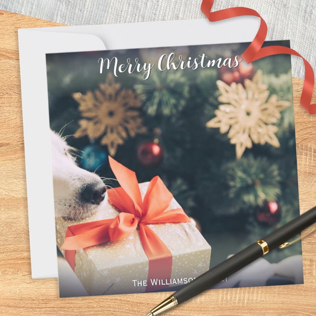 Cartão De Festividades Foto de Cão Nome Personalizado Moderno Feliz Natal (A Christmas card for you to personalize with a photo of your dog and your own text underneath)
