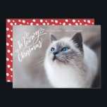 Cartão De Festividades Foto de Cheio de Gato com Mão de Natal Impressiona<br><div class="desc">Apresentando nossa letra de mão que diz "Feliz Natal" em branco.</div>