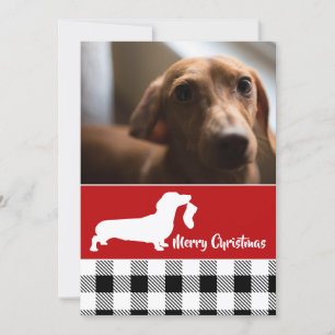 Cartão De Festividades Foto de férias do Dachshund com meia