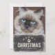Cartão De Festividades Foto de Gato de Férias de Natal Engraçado (Frente)