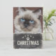 Cartão De Festividades Foto de Gato de Férias de Natal Engraçado (Em pé/Frente)