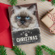 Cartão De Festividades Foto de Gato de Férias de Natal Engraçado (Criador carregado)
