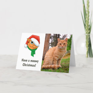 Cartão De Festividades Foto de Gato de Natal