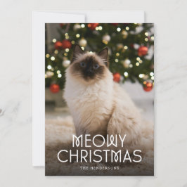 Cartão De Festividades Foto de gato de Natal