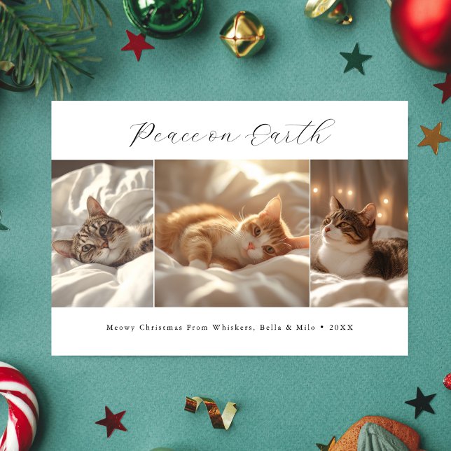 Cartão De Festividades Foto De Gato De Natal Feliz Na Terra (Criador carregado)