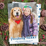 Cartão De Festividades Foto de Gato de Pet Cão Personalizado Moderno, Fel<br><div class="desc">Apresentando nossa nova linha de cartões de natal, perfeita para famílias com amigos peludos! Nossa coleção de "Felizes pawsitivamente" apresenta uma variedade de designs divertidos e festivos que exibem seus amados animais de estimação de uma maneira fofa e divertida. Quer você tenha um cachorro ou um gato, você pode escolher...</div>
