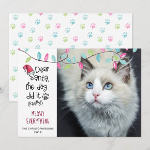 Cartão De Festividades Foto de Gato Engraçado DEAR SANTA Luzes