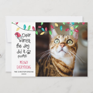 Cartão De Festividades Foto de gato engraçado dizendo Luzes de Férias Bri