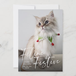 Cartão De Festividades Foto de Gato Festivo Felino de Férias 