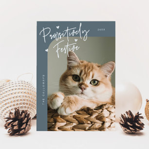 Cartão De Festividades Foto De Gato Festivo Festivo Chata De Natal Azul