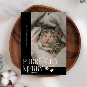 Cartão De Festividades Foto de Gato Puramente Feliz Natal Preto